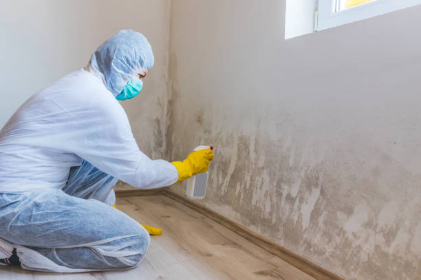 Licensed Mold Testing service in Garwood, NJ - WQB Mold Removal