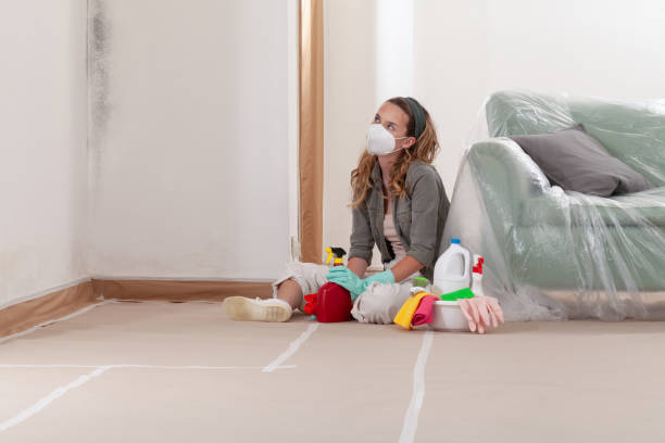 Reliable Mold Testing contractor in Garwood, NJ by WQB Mold Removal